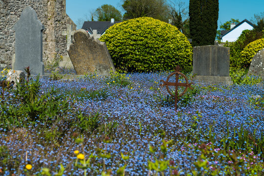 Friedhof bei der Katedrale von Cloyne (Irland)