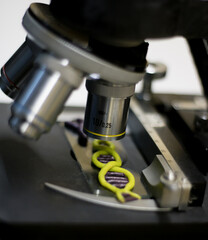 close-up side view of a biological microscope while analyzing a DNA sample.