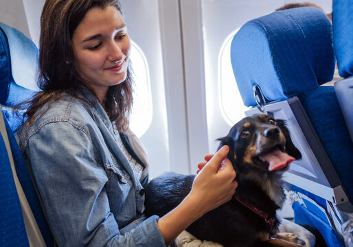 Young Woman Stroking Her Dog On A Plane.