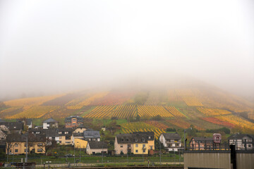 Herbstliche Weinberge
