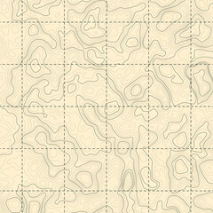 Fototapeta na wymiar Retro topographic map. Geographic contour map. Abstract outline grid, vector illustration.