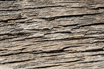 Old wooden background texture. Pattern of hard wood.