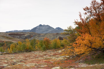 Autumn in Dørålen, Rondane, Norway.
