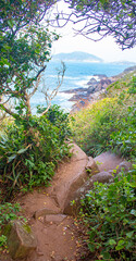 Fototapeta na wymiar Trilha do Morro da aranha Praia tropical, Praia do Santinho, Florianopolis, Santa Catarina, Brasil, Florianópolis,