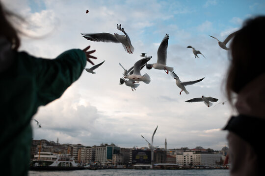 friends feeding seagulls an the ferry in Istanbul