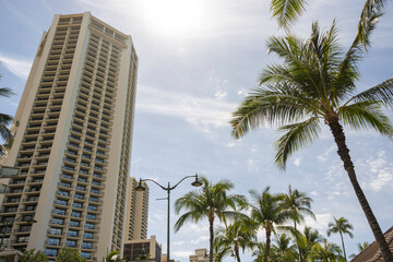 Fototapeta na wymiar View of Hawaii in summer time