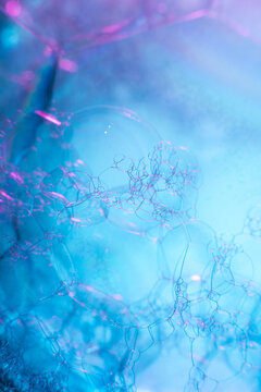 Colourful bubbles macro shot