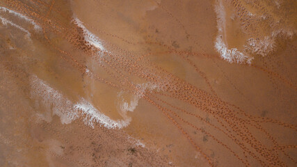 cattle footprints in the desert on the way to watering place