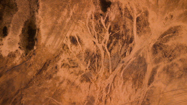 texture of a drylands