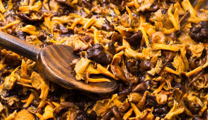 Forest mushrooms, winter chanterelles (Craterellus tubaeformis) in a frying pan during fall.