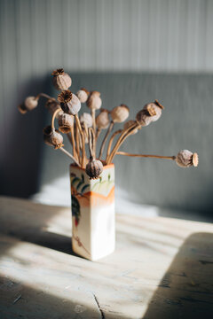 dry poppy heads also known as opium straw