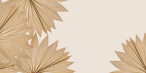 Banner with natural dried fan shaped palm leaves on beige background with empty copy space