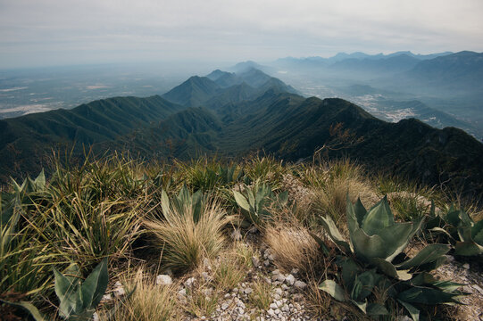 Agave leaves on the foreground and Mountains of Monterrey behind