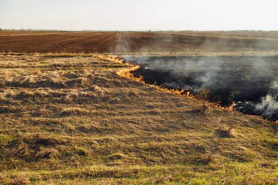 Burning grass in the field