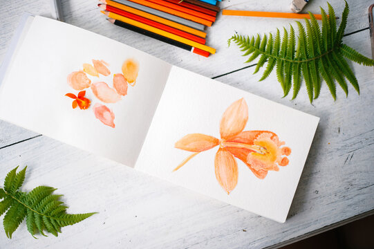watercolor painting of an orange flower