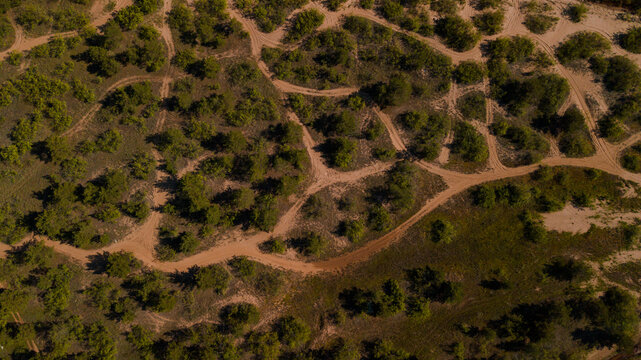 Drone shot of a sandy trails among the bushes