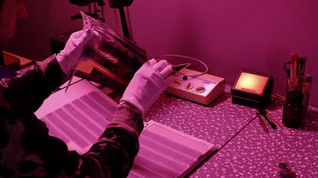 Photographer&nbsp;placing the negative in the enlarger carrier.