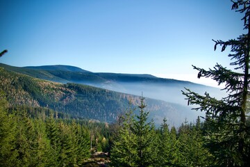 Beautiful view in nature in the mountains