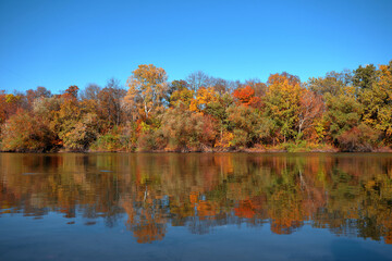 Reflection of a beautiful autumn forest in the river, against the background of a clear blue sky without clouds