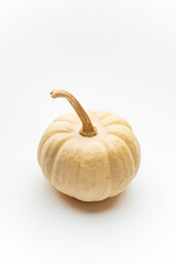 small decorative pumpkins on the white background