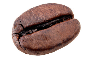 Roasted coffee beans and large seeds concept with macro close up on single huge bean isolated on white background with clipping path cutout