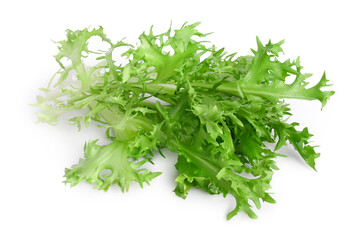 Fresh green leaves of endive frisee chicory salad isolated on white background with clipping path and full depth of field