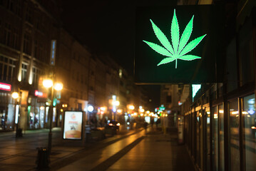 Neon cannabis leaf at the night street