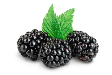 blackberry with leaf isolated on a white background closeup. Clipping path and full depth of field