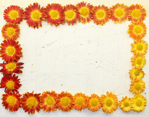 autumn frame with yellow-red chrysanthemum flowers in the shape of a rectangle on a white background