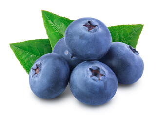 Obraz premium fresh blueberry isolated on white background closeup with clipping path and full depth of field