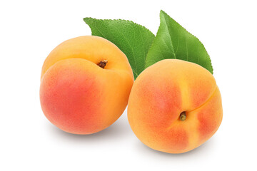 apricot fruit isolated on white background. Clipping path and full depth of field