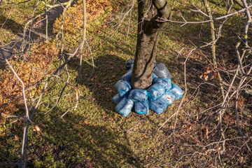 Autumn fallen leaves picked in big plastic  trash bags left near the tree trunk. Top view.