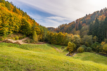 Fantastic autumn hike along the Aachtobel to the Hohenbodman observation tower