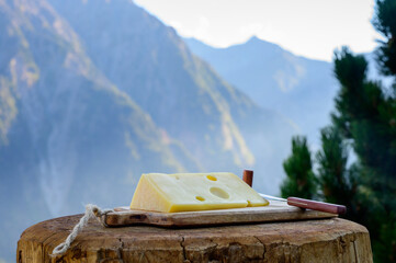 Cheese collection, French emmental de savoie cheese with round holes served outdoor in Savoy...