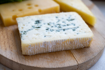 Cheese collection, French fol epi  cheese with many little holes, etorki, tomme noire des pyrenees and ossau iraty cheese