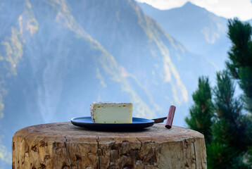 Cheese collection, French tomme de savoie or tome des bauges cheese served outdoor with Alpine...