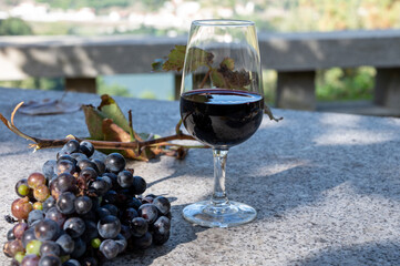 Outdoor tasting of different fortified port wines in glasses in sunny autumn, Douro Valley, Portugal
