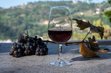 Outdoor tasting of different fortified port wines in glasses in sunny autumn, Douro Valley, Portugal
