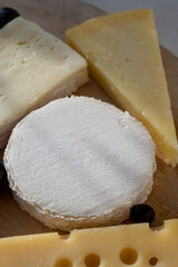 French cheese collection on marble board, emmental, carre de aurillac, petit cantal AOP Jeune, buche chevre, brie