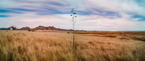 Panorama dry prairie grass field with motion in clouds and focal point