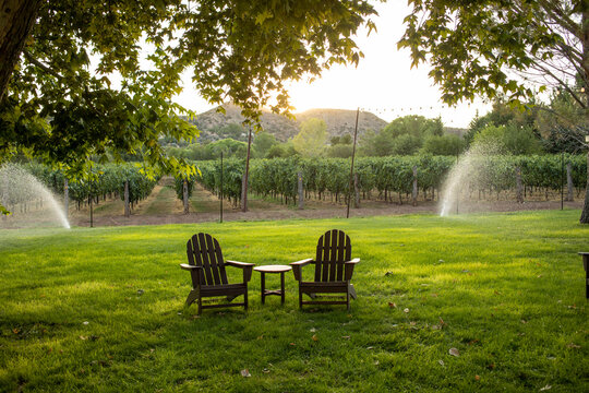 Lawn chairs in grass sprinklers and vineyard in background