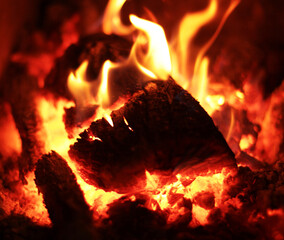 Burning fire wood. Background
