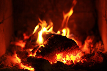 Burning fire wood. Background