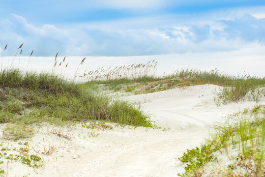 Sandy Dunes at Cape Canaveral Florida