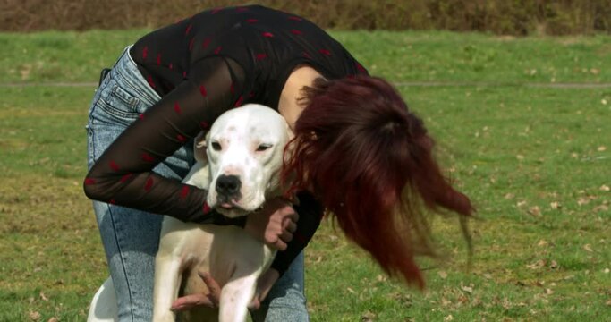 Dogo argentino - argentinian young dog with the owner