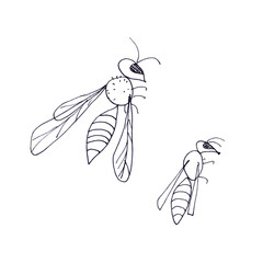 Wasp, a set of images, graphic black and white drawing on a white background