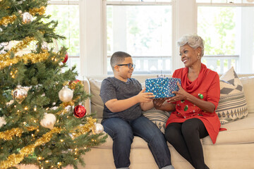 Grandmother and grandson sharing Christmas gifts at home