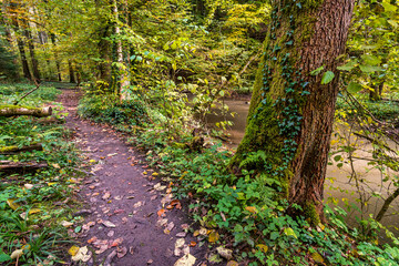 Fantastic autumn hike along the Aachtobel to the Hohenbodman observation tower