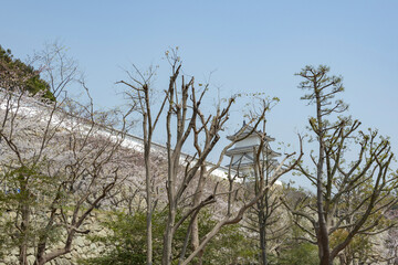 Akashi-jo (Akashi castle) in Hyogo prefecture in Japan