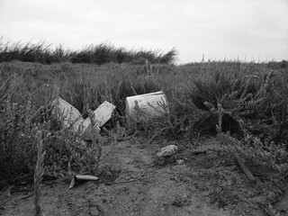b & w Basura en Humedales de San Andrés